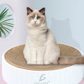 Rascador circular de cartón para gatos Yumkapet — foto del producto (1 de 5)