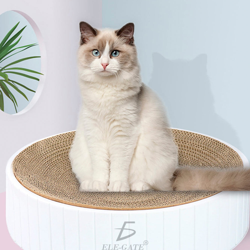 Rascador circular de cartón para gatos Yumkapet — foto del producto (1 de 5)