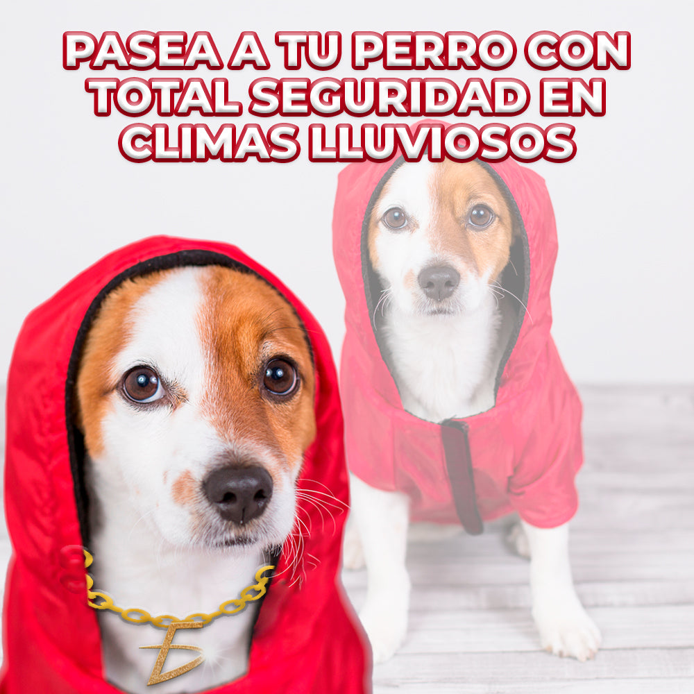 Chaqueta impermeable ajustable para perro chico y mediano Yumkapet — foto del producto (3 de 6)