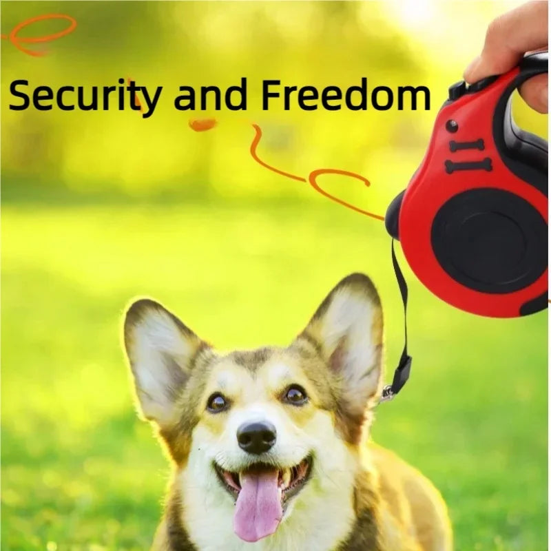 Correa retráctil automática para perro Yumkapet - imagen 5