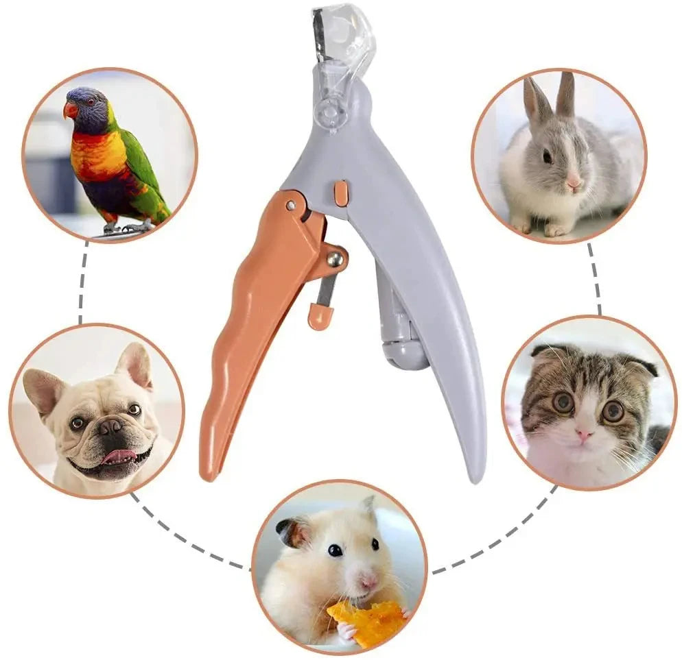 Cortauñas con luz LED para perros y gatos Yumkapet - imagen 3