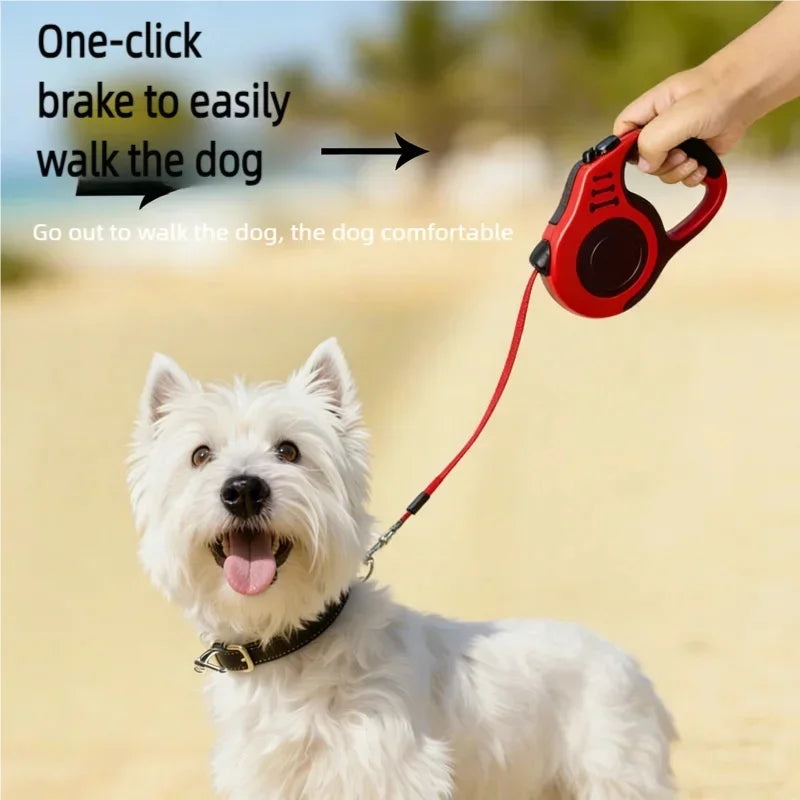 Correa retráctil automática para perro Yumkapet - imagen 3
